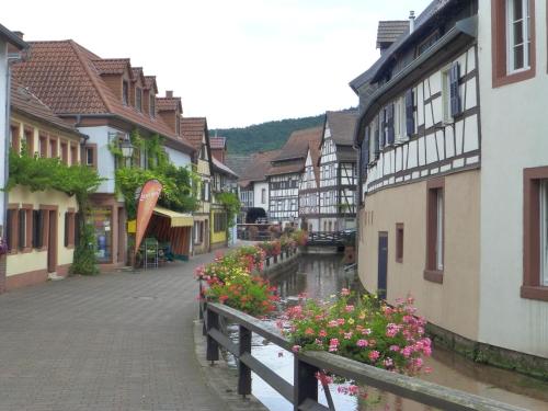 Villa Waldfrieden - Gästehaus zum Jugendstilhotel - image 6