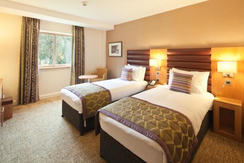 Drayton Manor Hotel - image 14