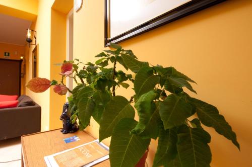 Passeggiate Romane - image 8