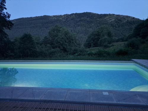 Úszómedence, Romantic-HuntingLodge-en-Provence**** in Saint-Pierre (Provence-Alpes-Cote d'Azur)