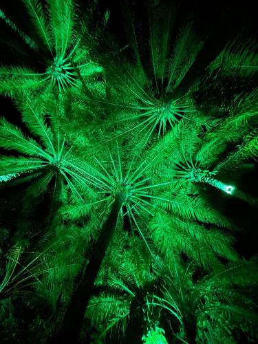 Alrededores, The Black Pool House em Busca Vida in Catu De Abrantes