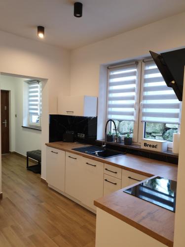 VILLA MILA Apartamenty