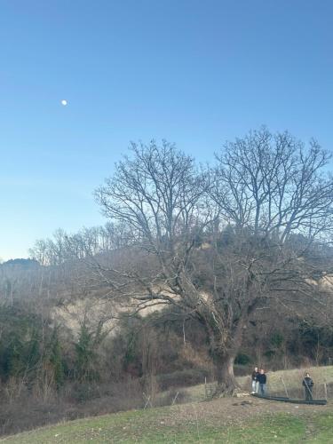 Agriturismo Val di Tufo in 聖焦萬尼達索
