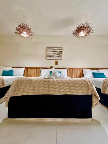 Hotel cacao spa cozumel in Cozumel, Mexiko