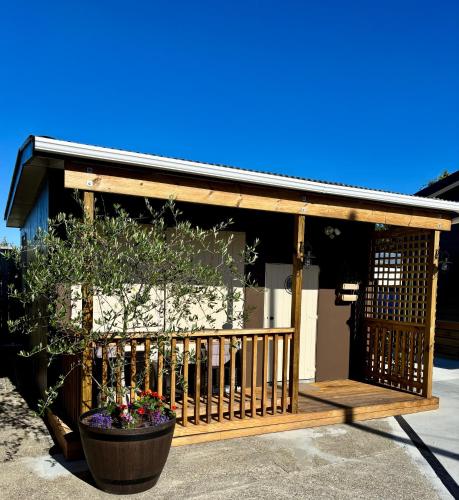 . The Olive Tree Shed