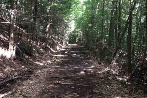 Charming home - views of Hunter Mountain slopes