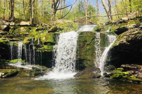 Charming home - views of Hunter Mountain slopes