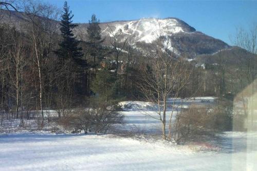 Charming home - views of Hunter Mountain slopes