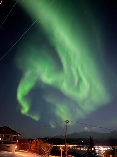 . Arctic Comfort Senja