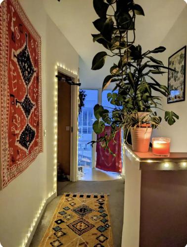 Colourful en-suite room in a penthouse on the docks!, Liverpool (photo 3)