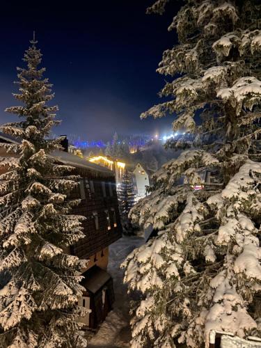 MONTANA - Apartment - Jahorina