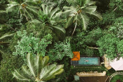 The Nest in Ubud, Ubud