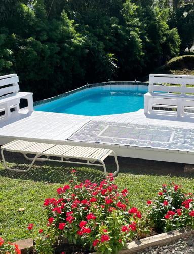 สระว่ายน้ำ, Hilo Bay Oceanfront Bed and Breakfast in ฮีโล