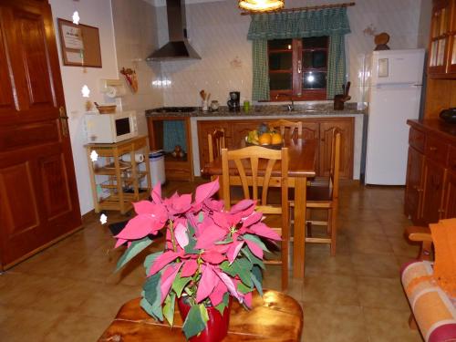 設施, Casa Guinea in 弗龍特拉