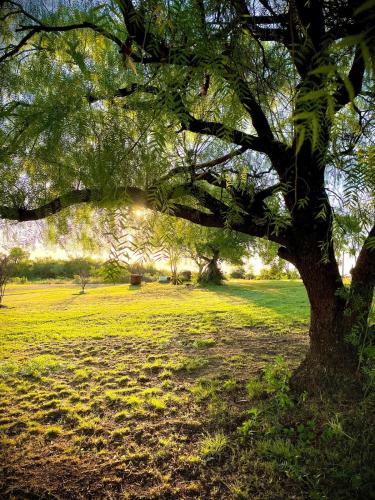 Casa de Campo in the City