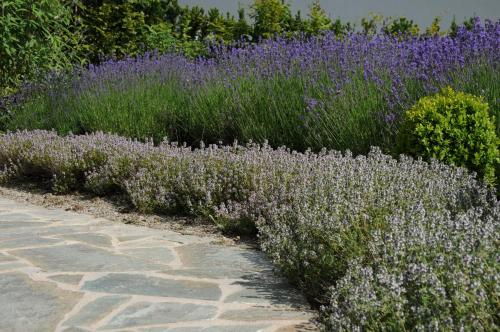 Sulamith Ferienhaus mit Garten