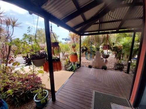 卡爾納翁中央公寓 (Carnarvon Central Apartments) in 卡那封