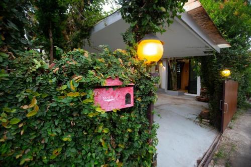 House in a quiet village, Čiang Mai (fotografie 10)