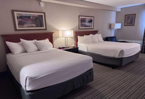 Ramada by Wyndham London Room Type - Business Double