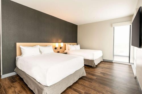 Queen Suite with Accessible Roll-In Shower