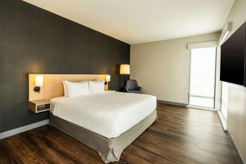 King Suite with Sofa Bed