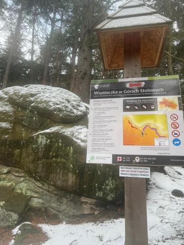 Domki z Widokiem Domki z Widokiem