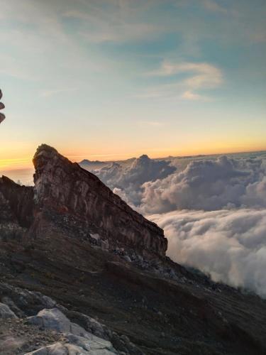 Lemon Tree Hotel Bali Lemon Tree Hotel Bali