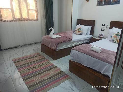 Sama Stars Guest House in Abu Simbel