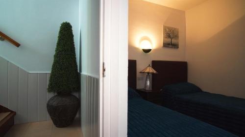Three-Bedroom House image 10
