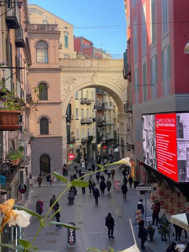 Bed & Breakfast Plebiscito Home - image 10