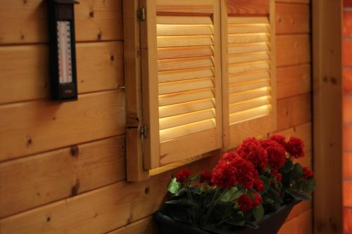 Bacchus Panzió Hotel - image 6