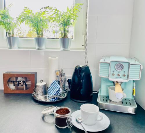 Apartament Zielona
