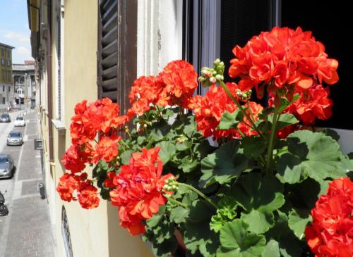 In Centro Charme – Bergamo, VA