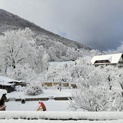 Pensiunea Mateo in بران