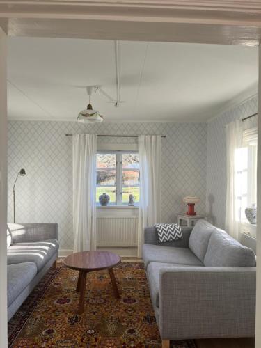 Vinberga in Stjärna