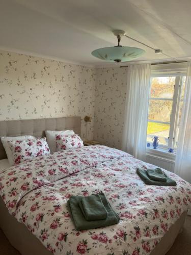 Vinberga in Stjärna