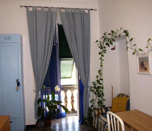 B&B Blue Home - image 8