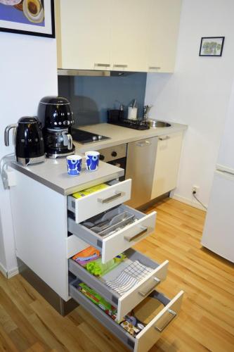 Central Helsinki Studio Near Olympic Stadium in Töölö