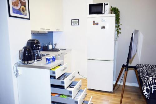 Central Helsinki Studio Near Olympic Stadium in Töölö