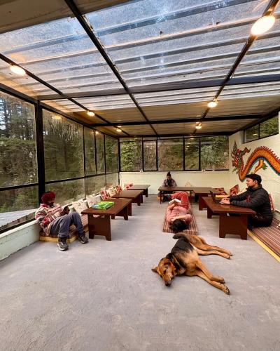 Eevolve Dharamkot - An Eco Hostel, McLeod Ganj (fotografie 4)