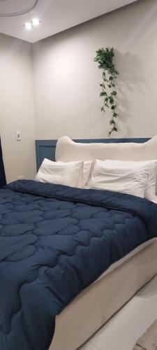 Studio Blue by Studio Fakhr, El Cairo