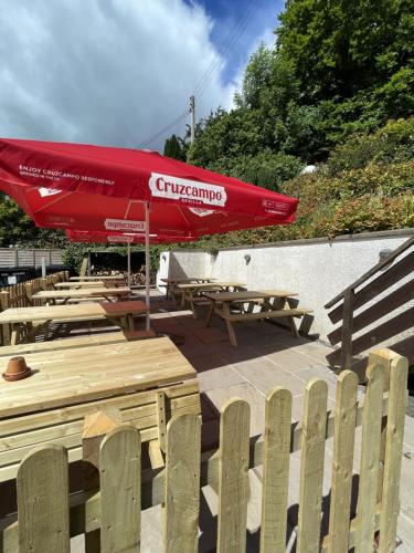 The White Horse Inn Bunkhouse - image 3