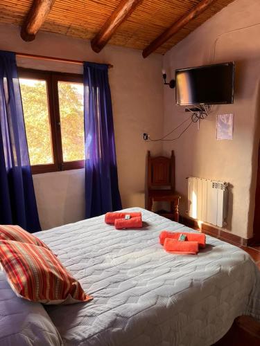Hotel La Herencia in 틸카라