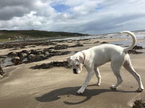 酒店外观, Airyolland in 纽顿斯图华特