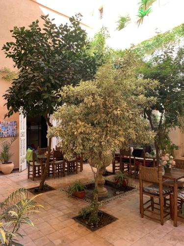 Hostel Laksour in Medina