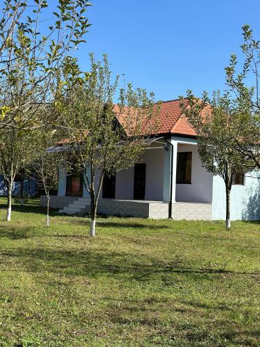 Konak