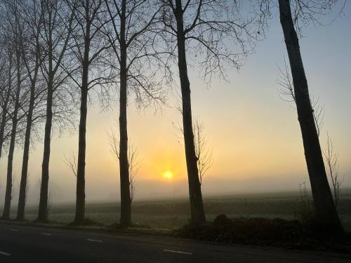 Onder de paardenkastanje in Empe