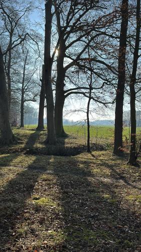 Onder de paardenkastanje in Empe