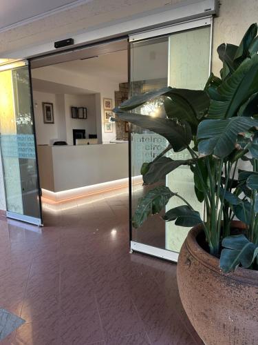 Hotel Rosmarina - image 13