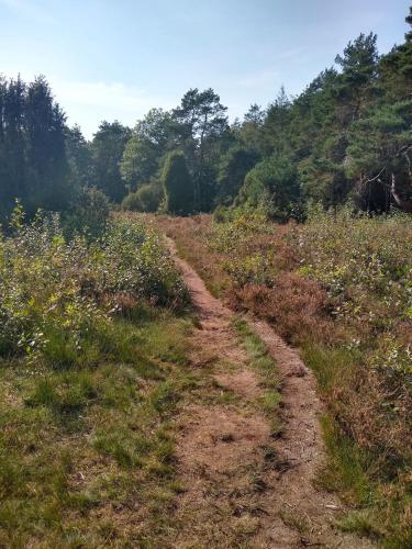 De Appelvink Emst De Appelvink Emst